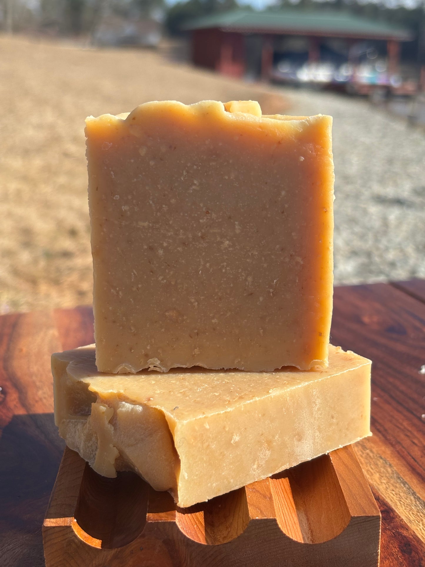 Gardenia Goat Milk with Aloe