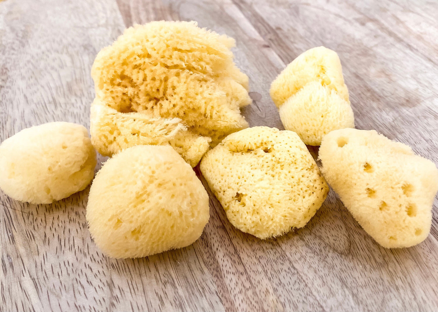 Natural Sea Facial Sponges